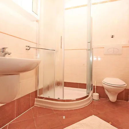 Brnic Nara 4*