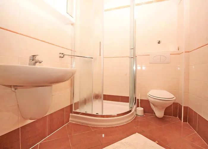 Brnic Nara 3*